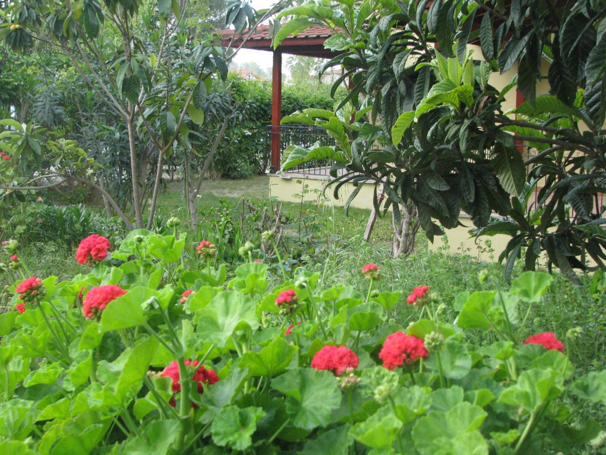 Alize Hotel Gocek  Ngoại thất bức ảnh